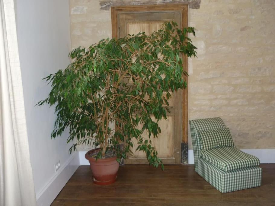Le Presbytere - Touillon, Jacuzzi, 4 Chambres Pour 10 Экстерьер фото